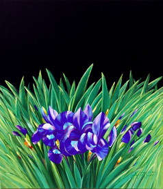 Irises ' painting by Angel Patchamanov