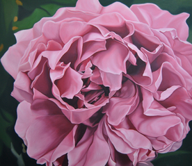 Розов Божур - картина на Симона Цветкова